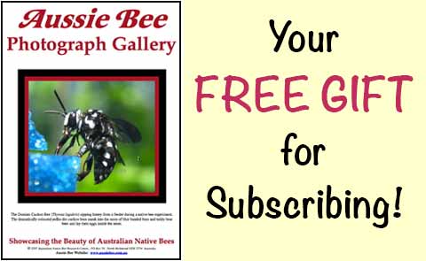 native bee ebook thank you gift